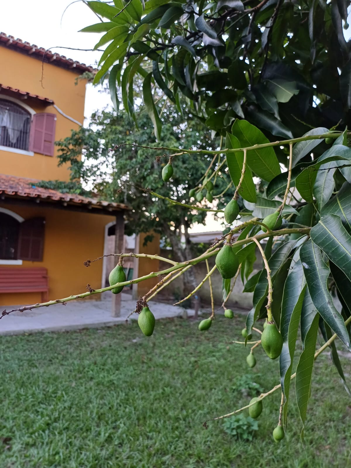 Foto de Residencial Bacelar na galeria da Bacelar Temporada